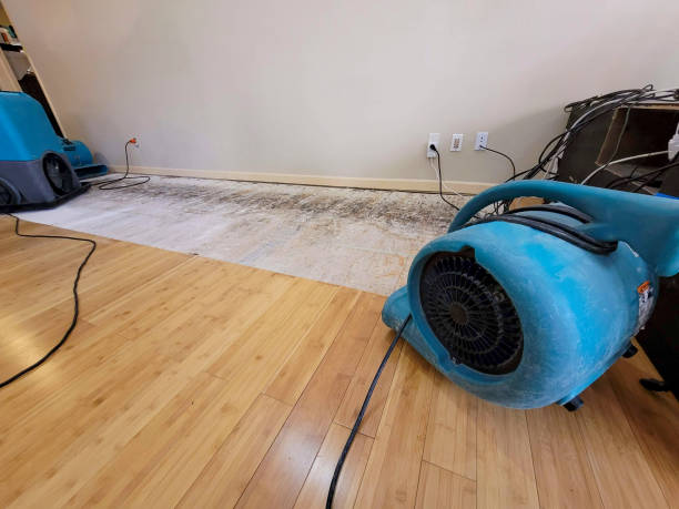Professional Basement Flood Cleanup technician working in Tunica, LA